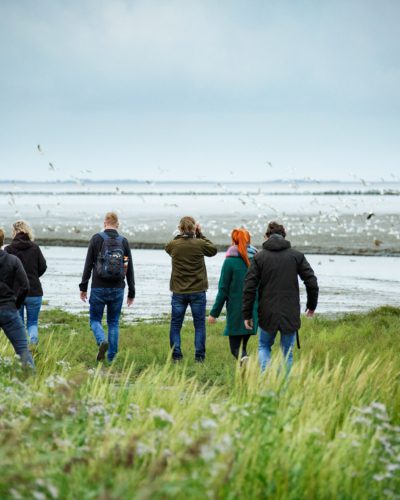 noard fryslan butendyks noarderleech