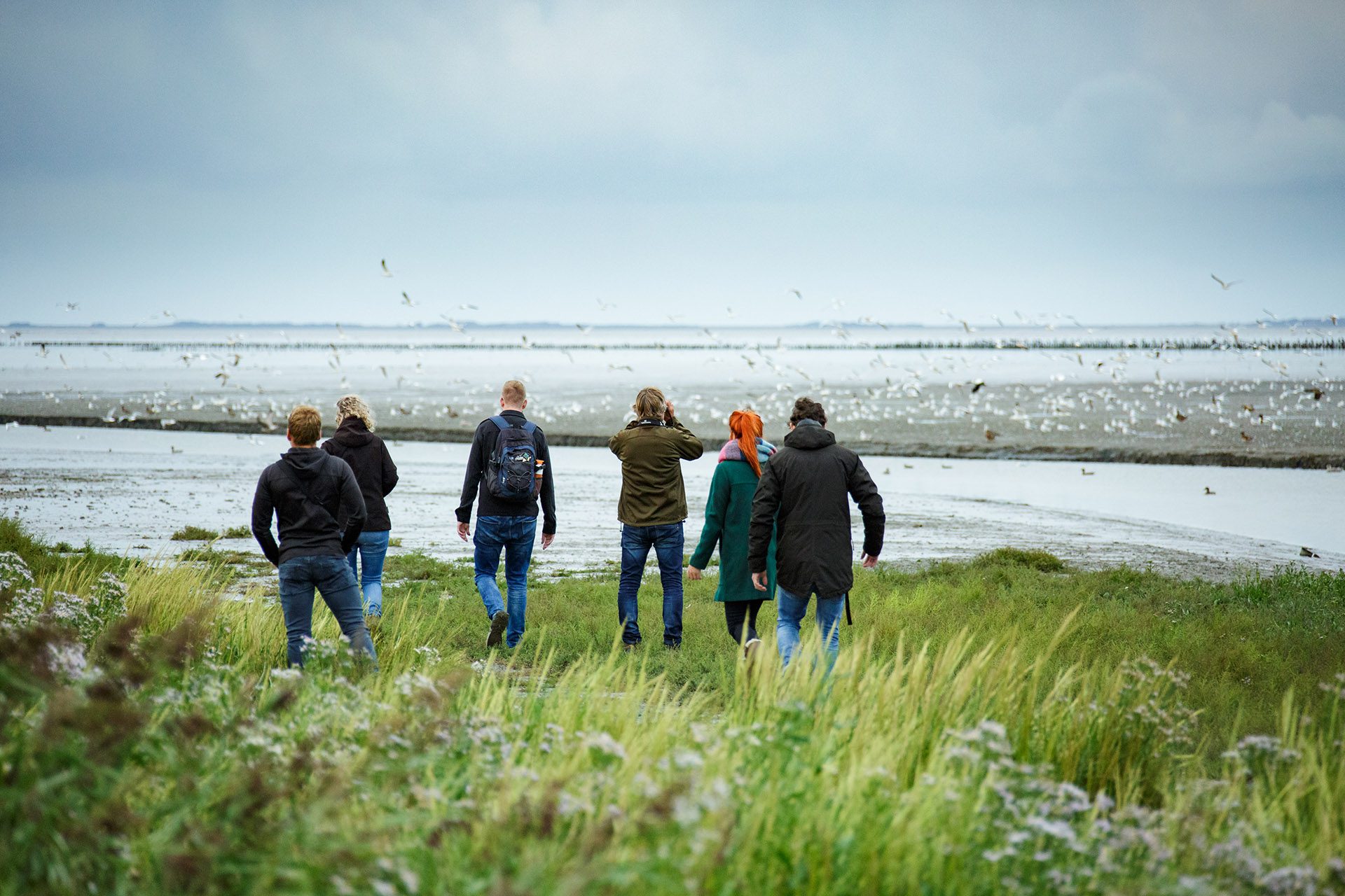 noard fryslan butendyks noarderleech