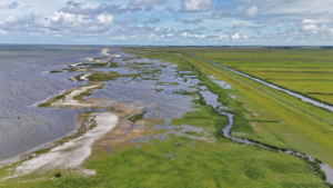 warkumerwaard aanleg stormbroedkering