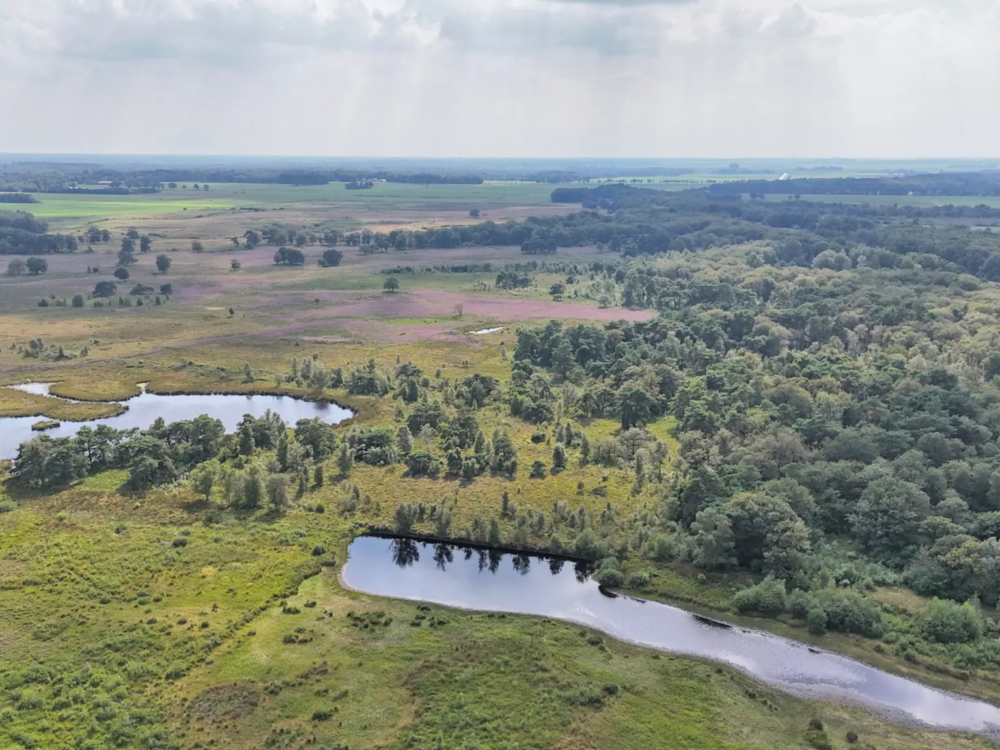delleboersterheide