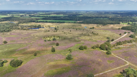 delleboersterheide