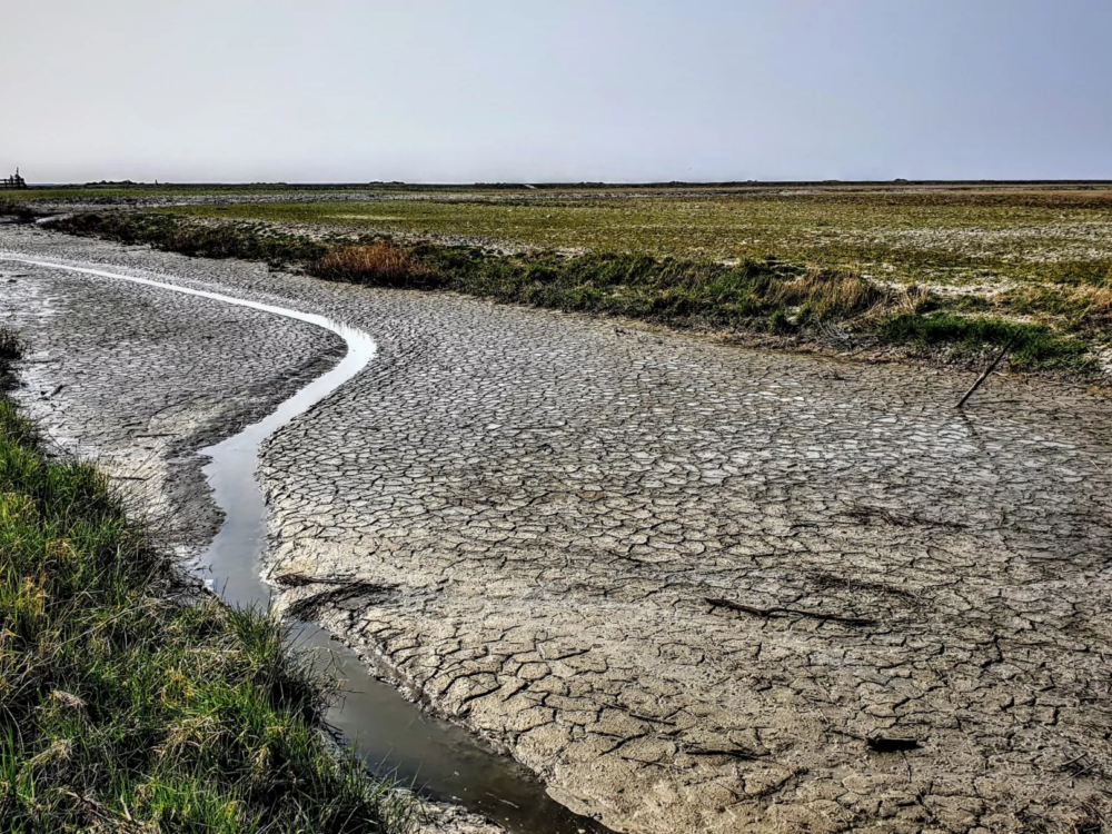 kwelderkrachten noard fryslan butendyks