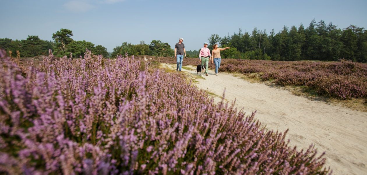 Wandelexcursie Mandefjild