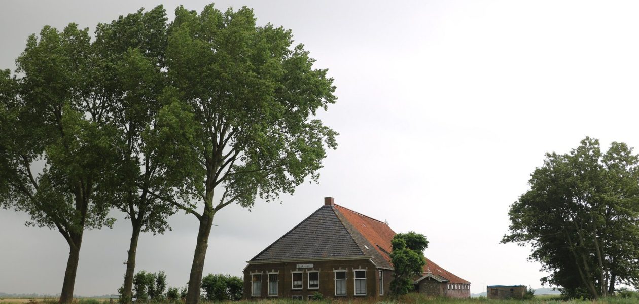 kathus