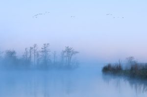 Nationaal Park De Alde Feanen