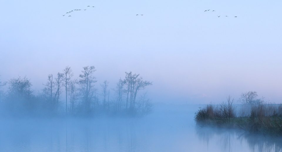 Nationaal Park De Alde Feanen