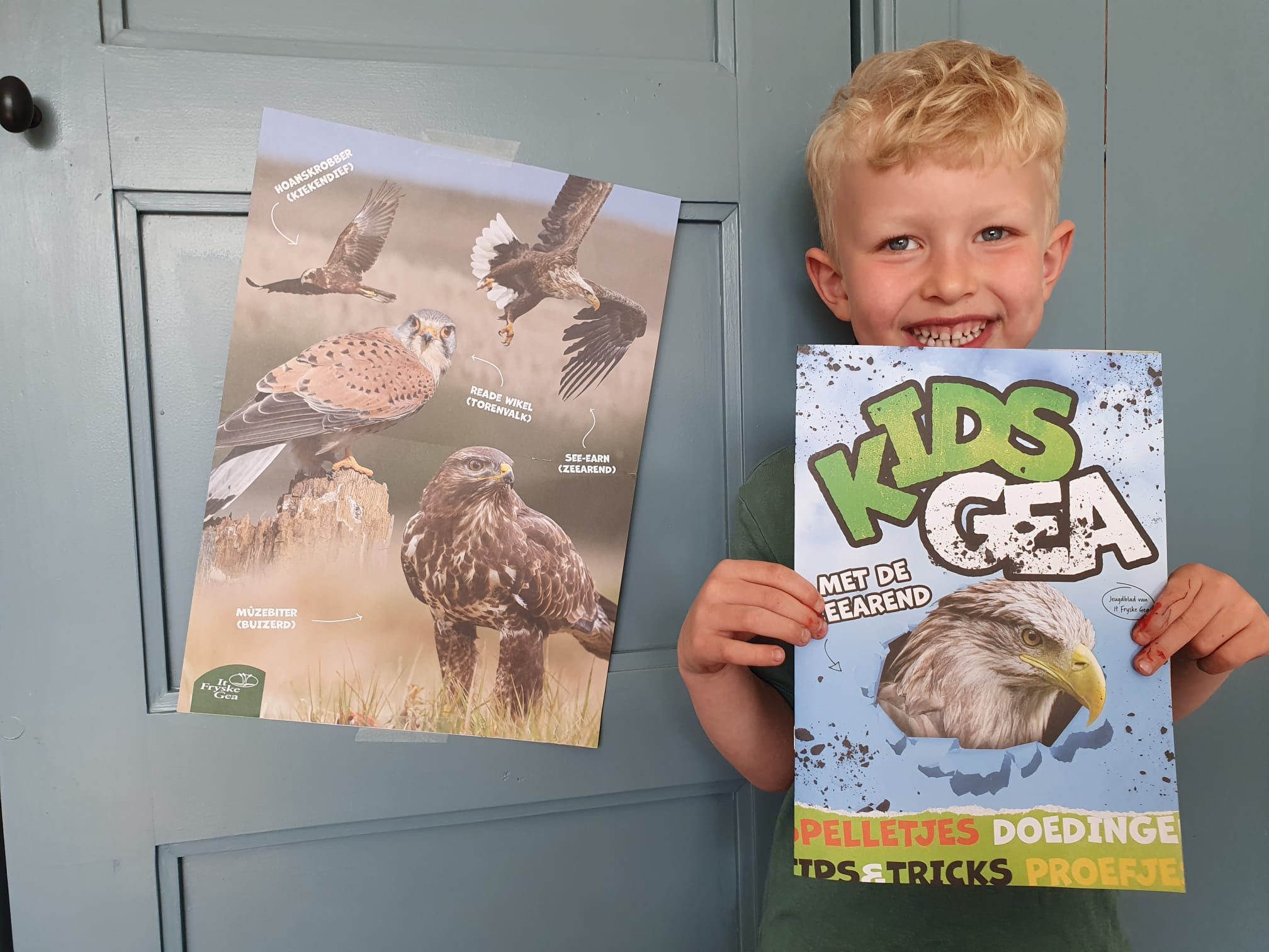 KidsGea roofvogels met poster