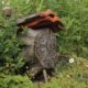 kids excursie insectenhotel