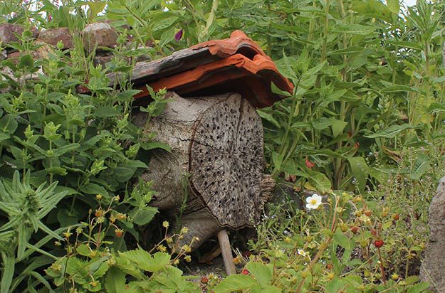 kids excursie insectenhotel