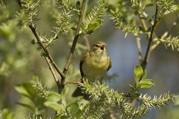 excursie wandelen easterskar