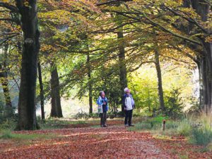 excursie wilhelmina oard wandelen