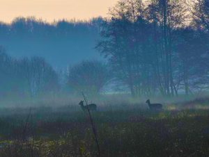 wandelen ketlikerheide excursie