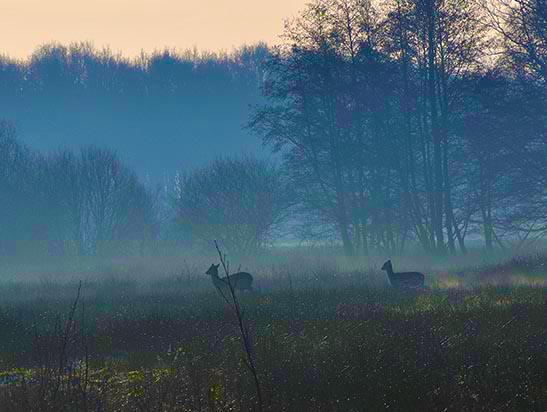wandelen ketlikerheide excursie
