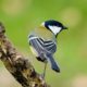excursie wandelen ketliker skar