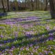 fotografie excursie martenastate