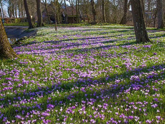 fotografie excursie martenastate