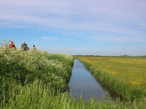 excursie muntsebuorsterpolder wandelen