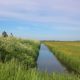 excursie muntsebuorsterpolder wandelen
