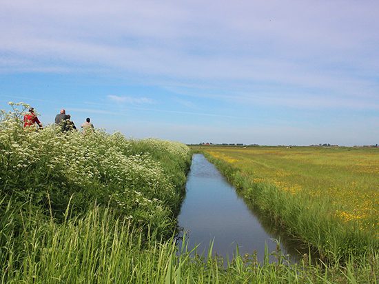 excursie muntsebuorsterpolder wandelen