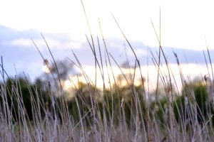 excursie wandelen it eilan