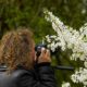 fotografie excursie ketlikerheide