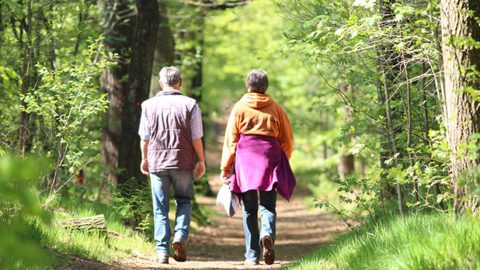 rystersbosk excursie wandelen