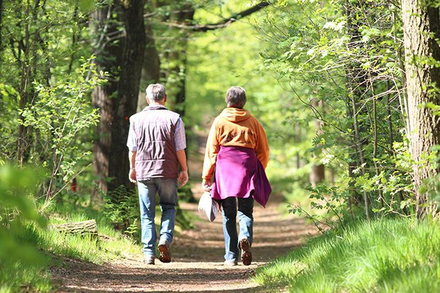 rystersbosk excursie wandelen