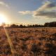 excursie wandelen schaopedobbe