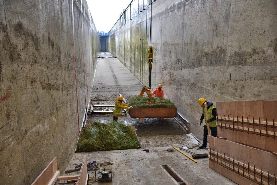 Blokken kweldergras Deltagoot