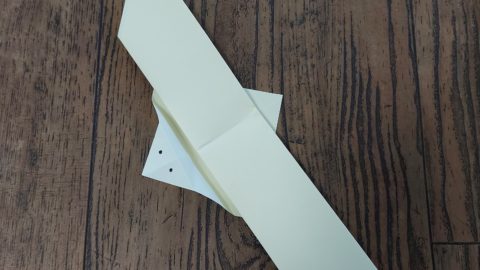 Roofvogel van papier