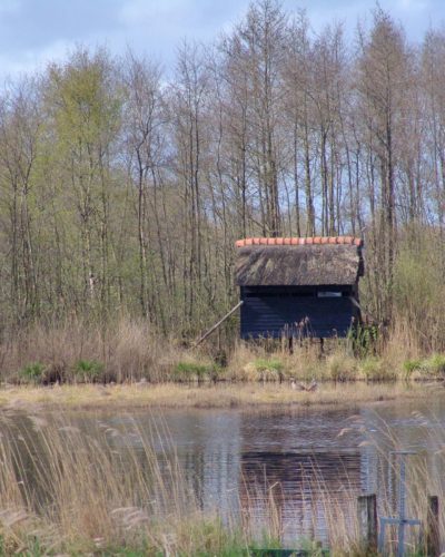 Vogelkijkhut Wikelslan