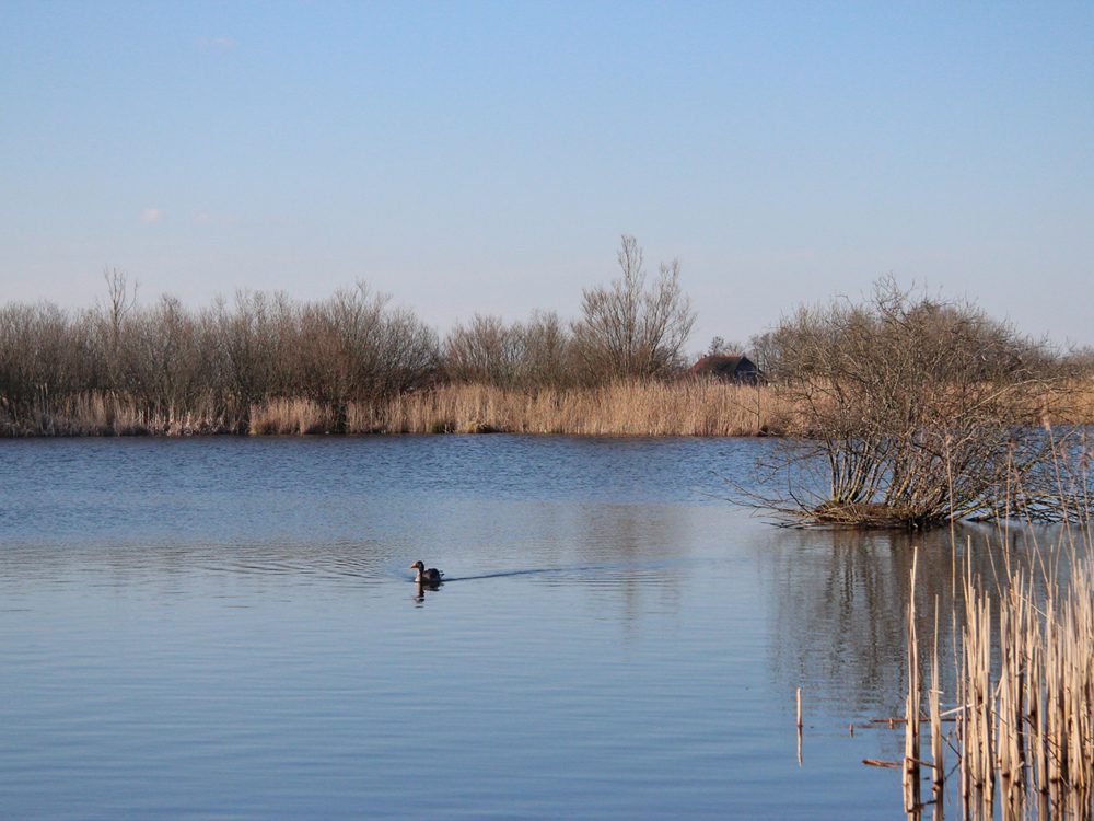 Zichtbeeld_vogelkijkhut_Ierdige_Mar