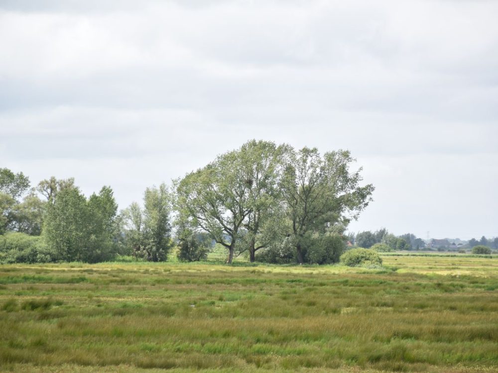 Trouwe Ledendag It Fryske Gea