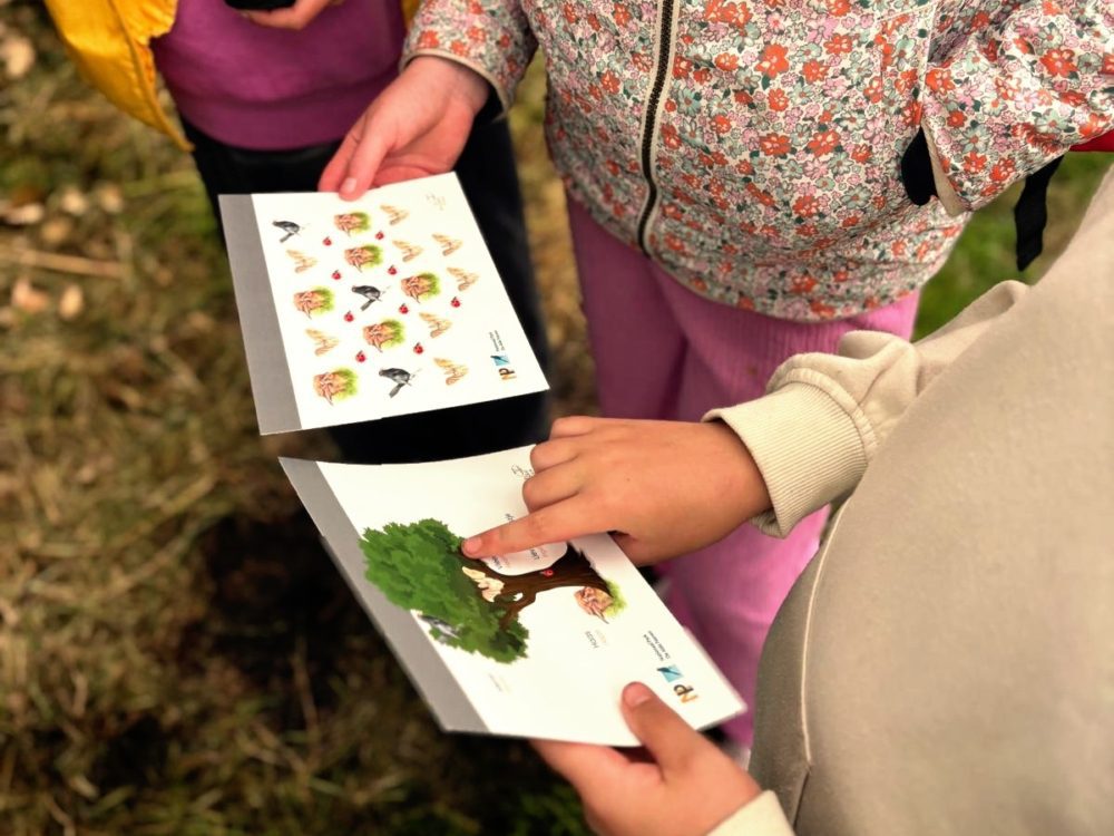 Escape route Alde Feanen