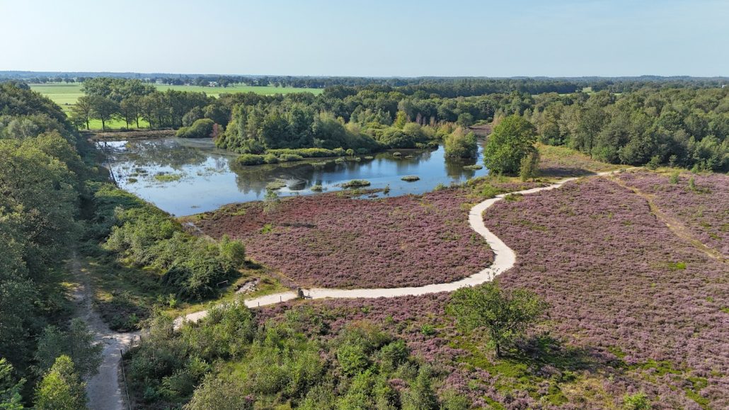 Mandefjild van boven