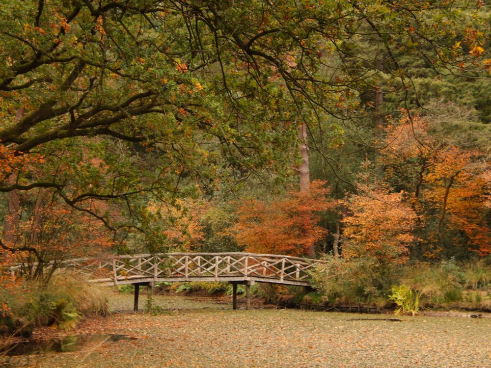 inbound351592794852959036