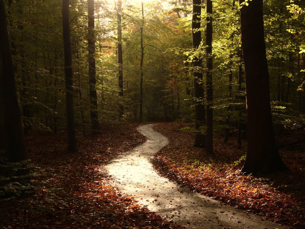 inbound4297971080206432275