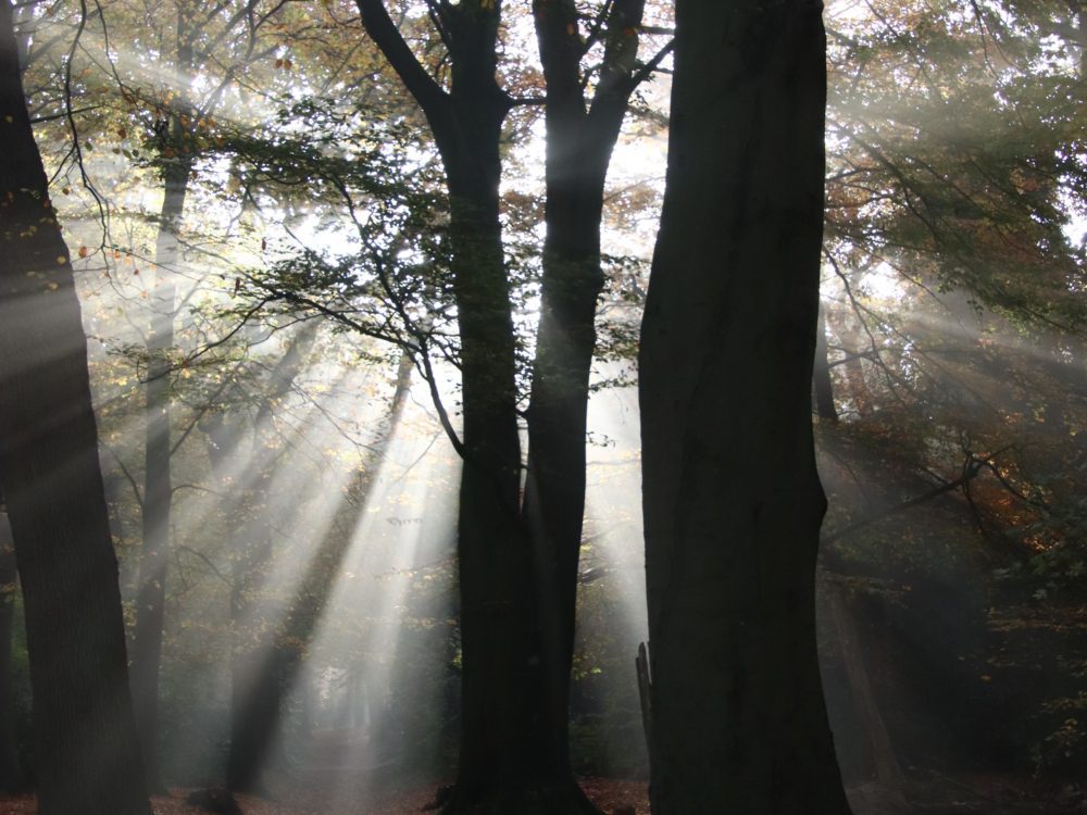 It`s a kind of magic