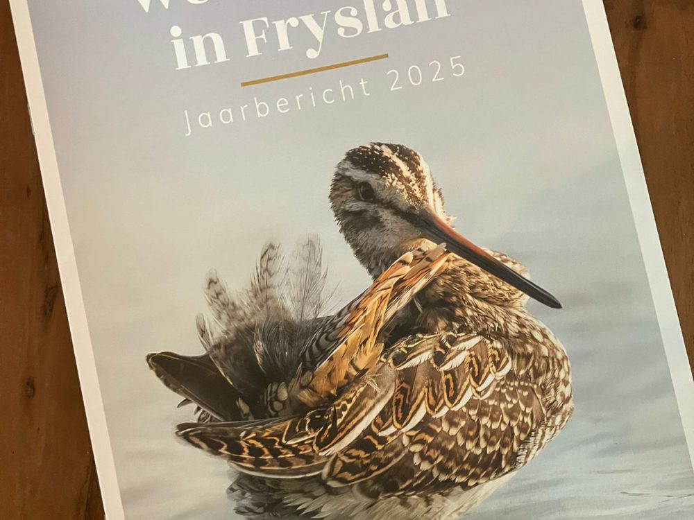 Weidevogeljaarbericht