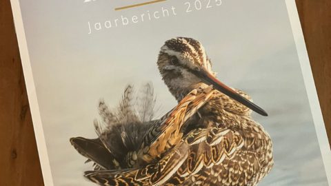 Bericht: Weidevogel jaarbericht 2025 gepresenteerd