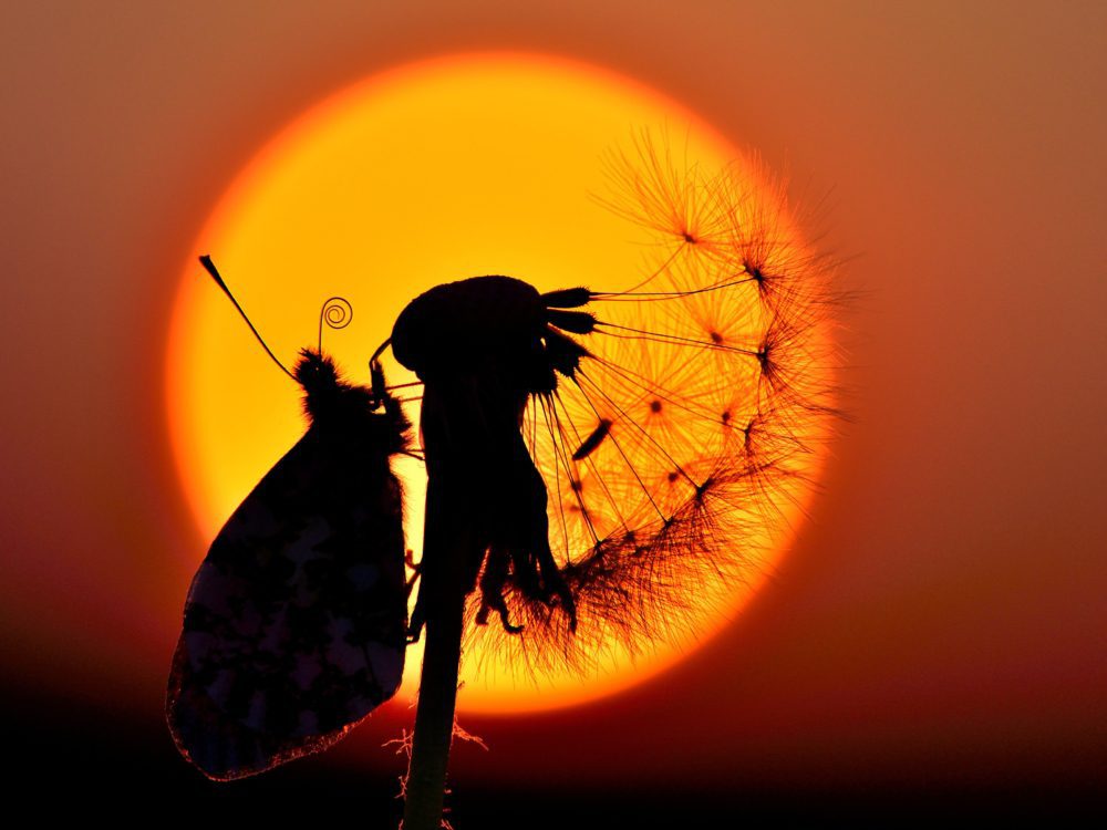 In the sun