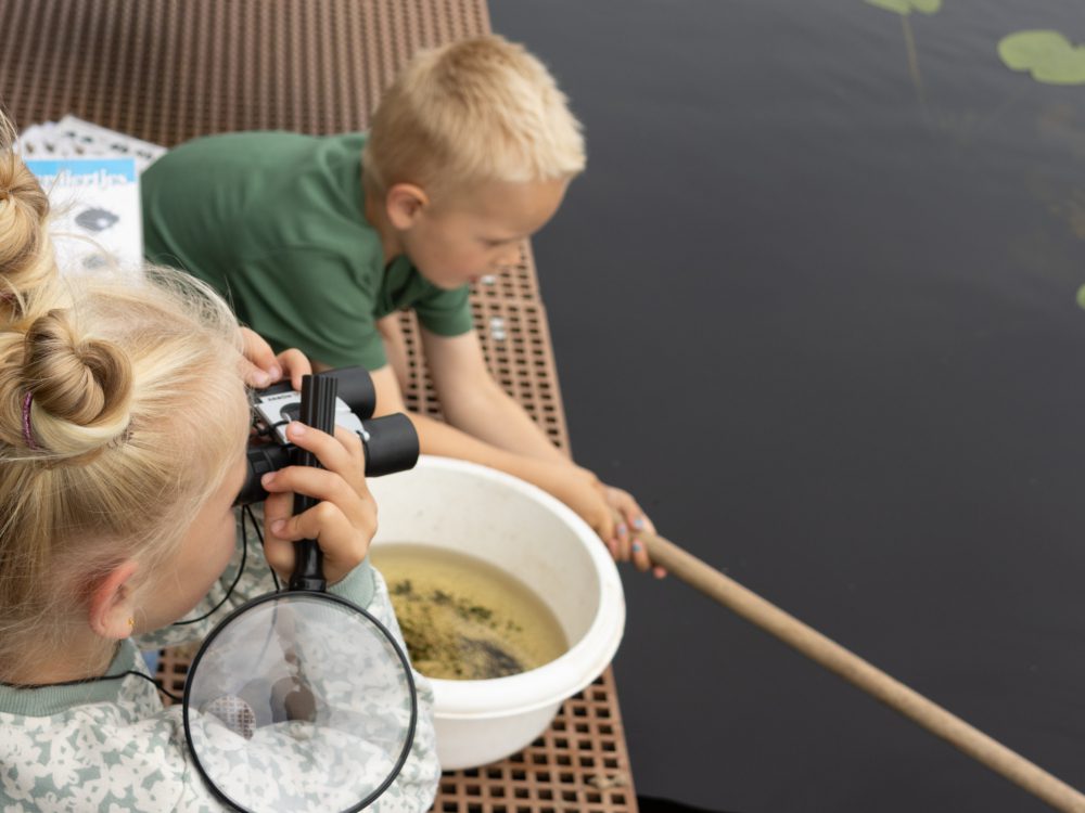 Kinderen waterdiertjes zoeken